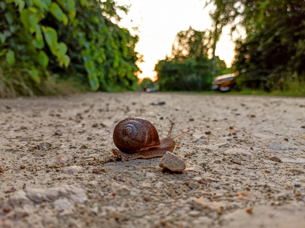 Flór Ferenc utca